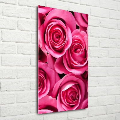 Acrylic print Pink roses