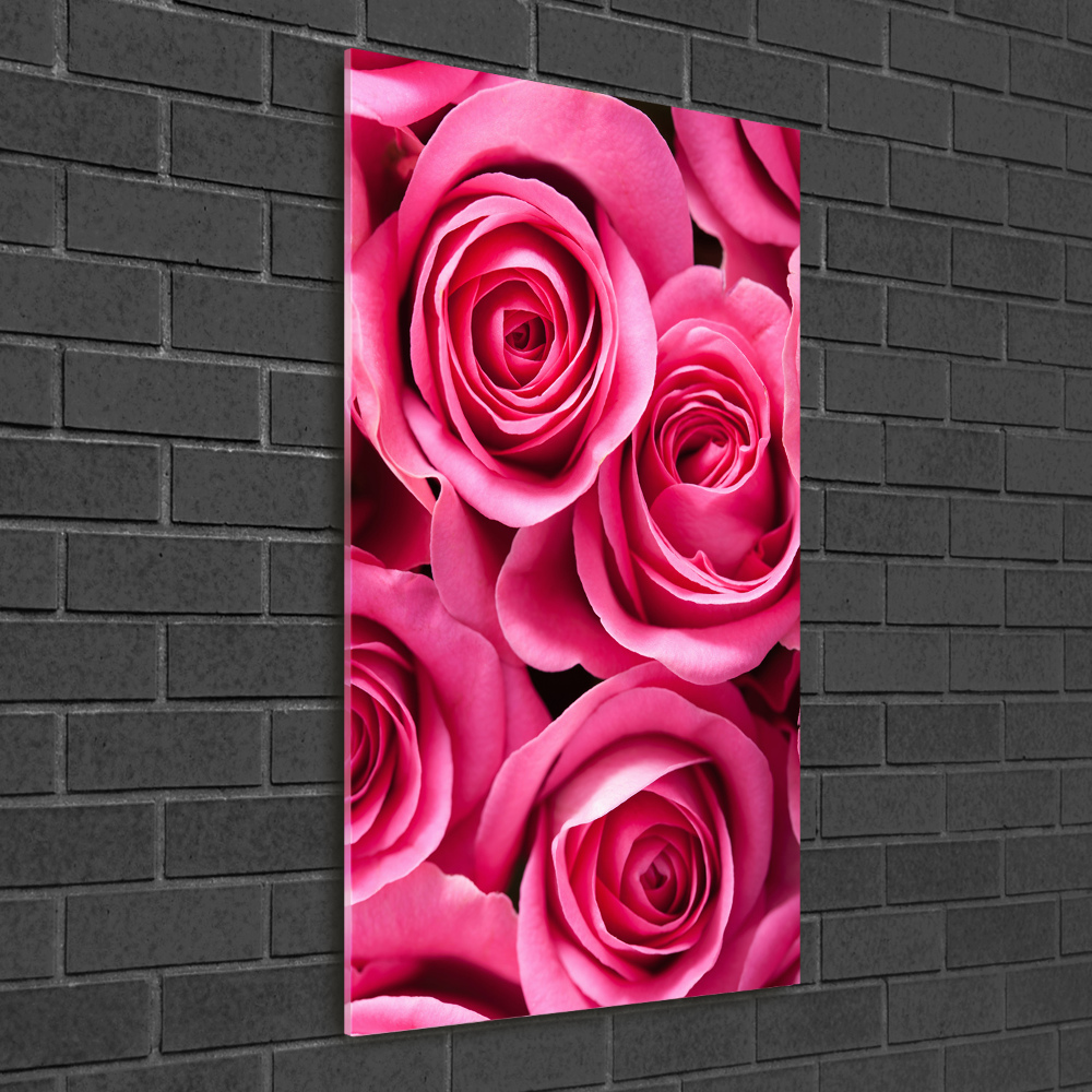 Acrylic print Pink roses