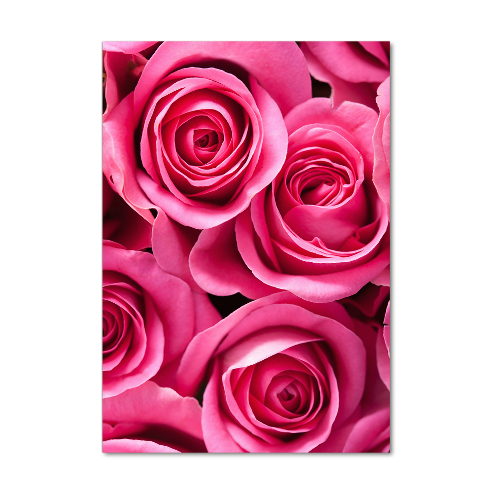 Acrylic print Pink roses