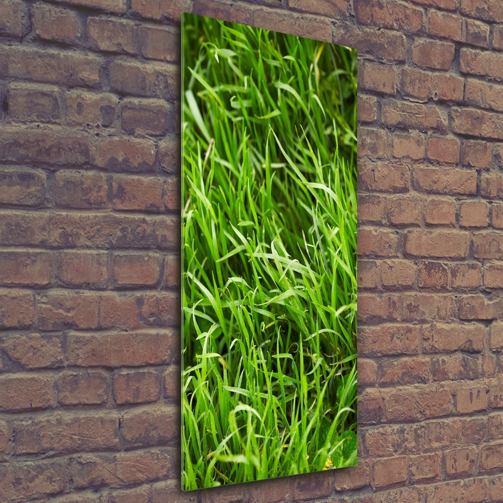 Acrylic wall art Grass