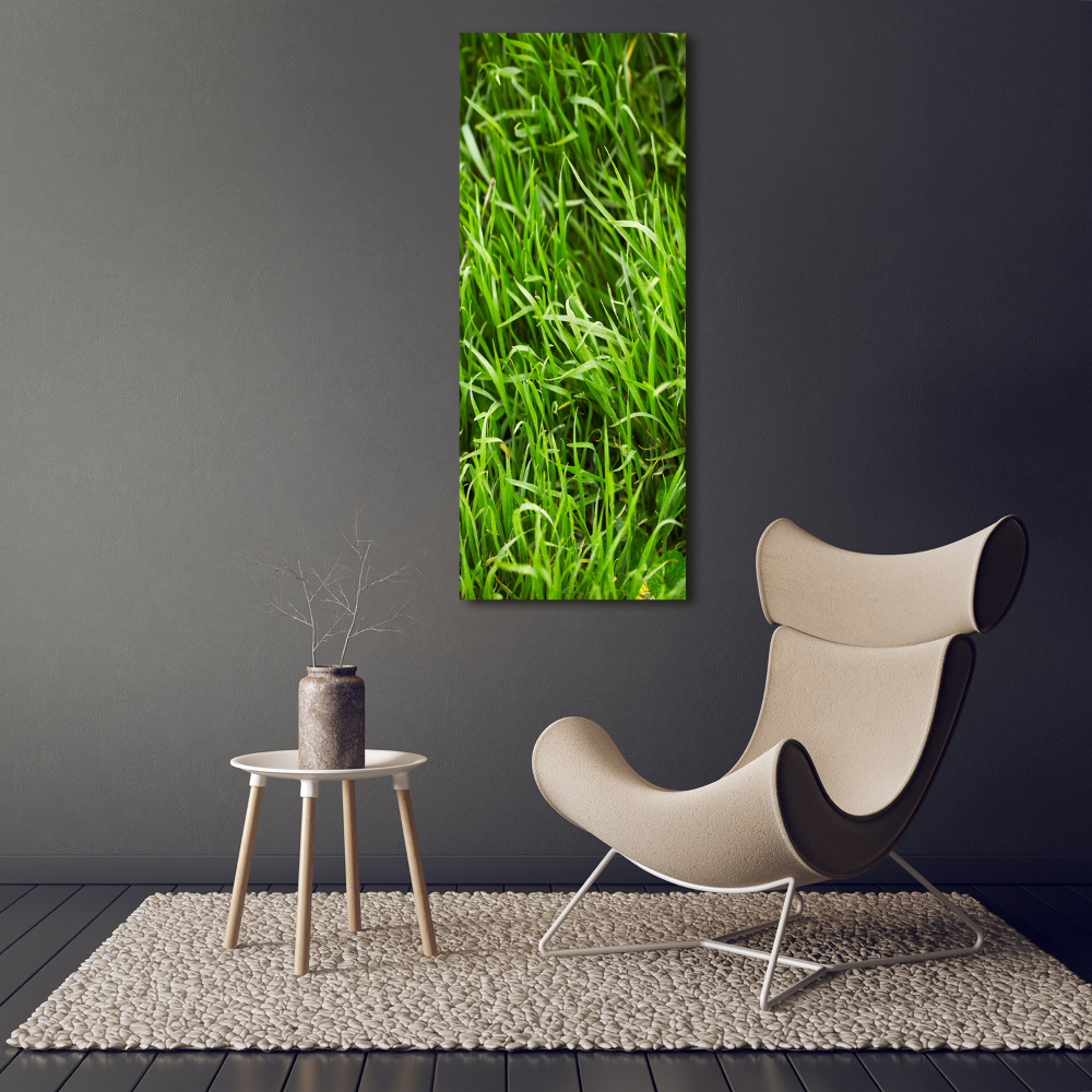 Acrylic wall art Grass