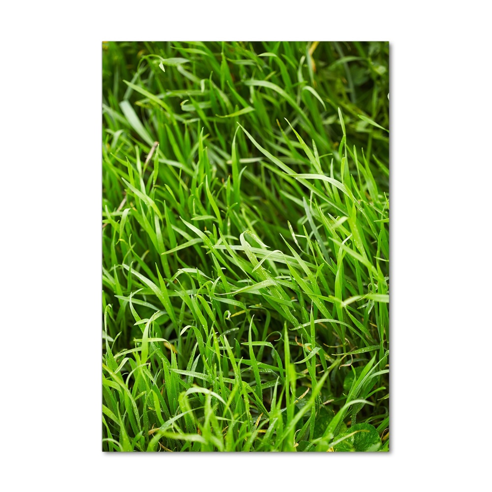 Acrylic wall art Grass