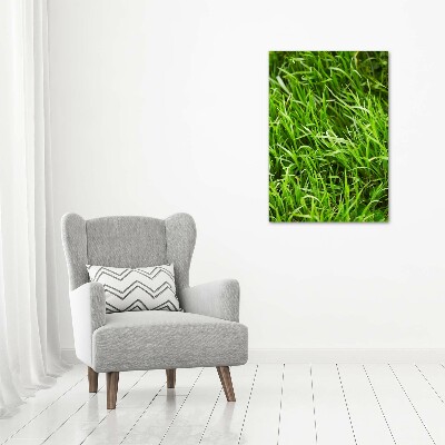 Acrylic wall art Grass