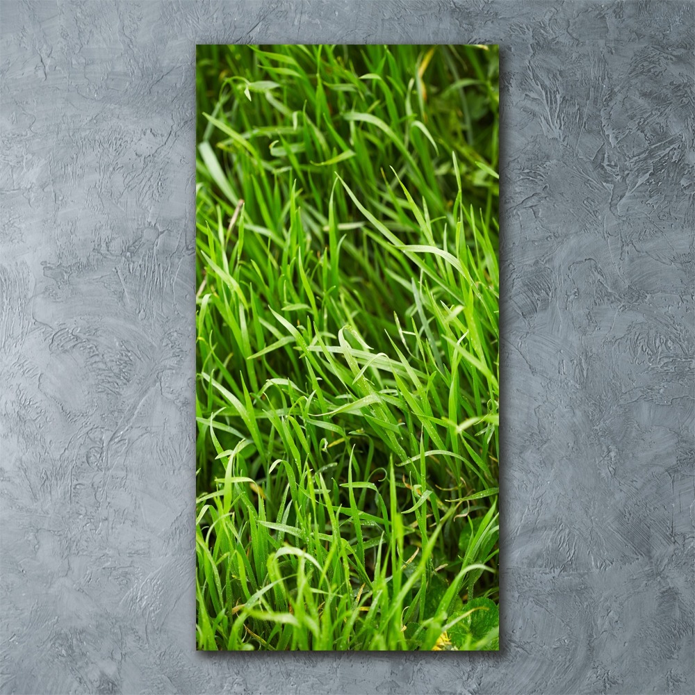 Acrylic wall art Grass