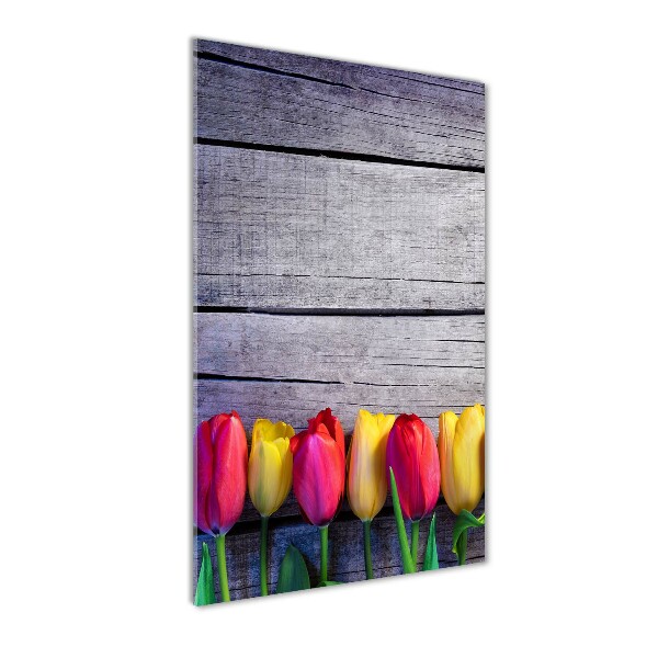 Acrylic print Colorful tulips