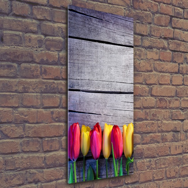 Acrylic print Colorful tulips