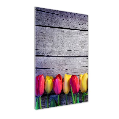 Acrylic print Colorful tulips