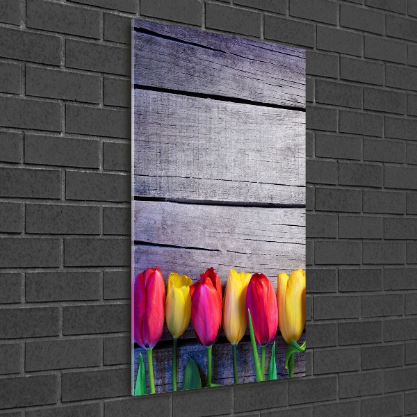 Acrylic print Colorful tulips