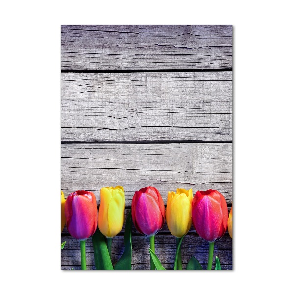 Acrylic print Colorful tulips