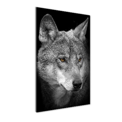 Print on acrylic Portrait of a wolf