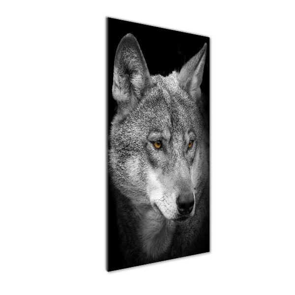 Print on acrylic Portrait of a wolf