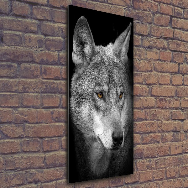 Print on acrylic Portrait of a wolf