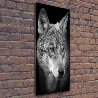 Print on acrylic Portrait of a wolf