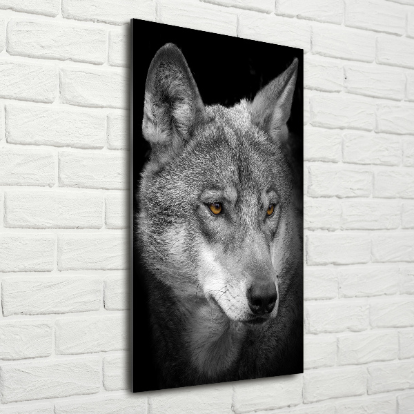 Print on acrylic Portrait of a wolf