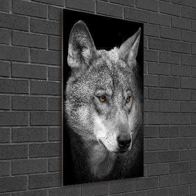 Print on acrylic Portrait of a wolf