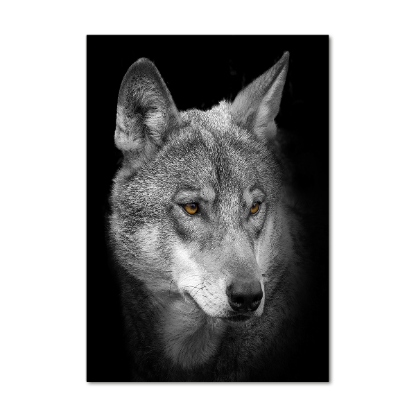 Print on acrylic Portrait of a wolf