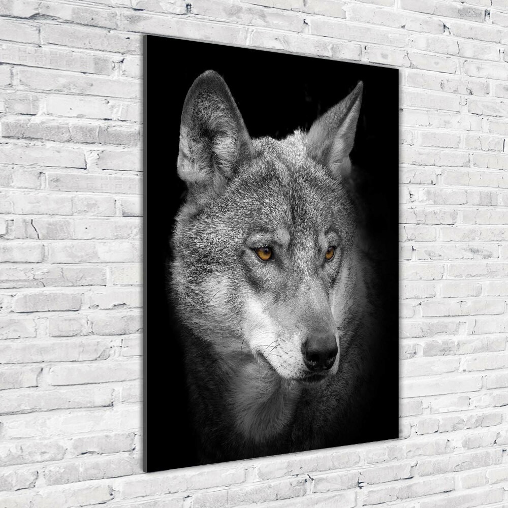 Print on acrylic Portrait of a wolf