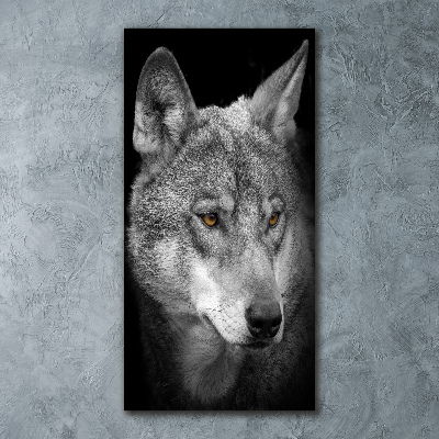 Print on acrylic Portrait of a wolf