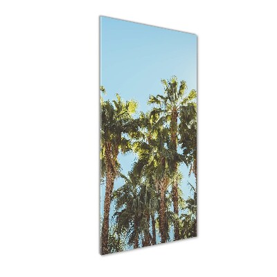 Print on acrylic Palm trees