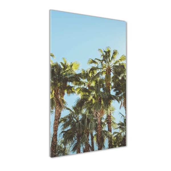 Print on acrylic Palm trees