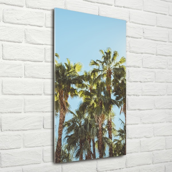 Print on acrylic Palm trees