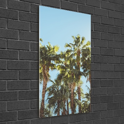 Print on acrylic Palm trees