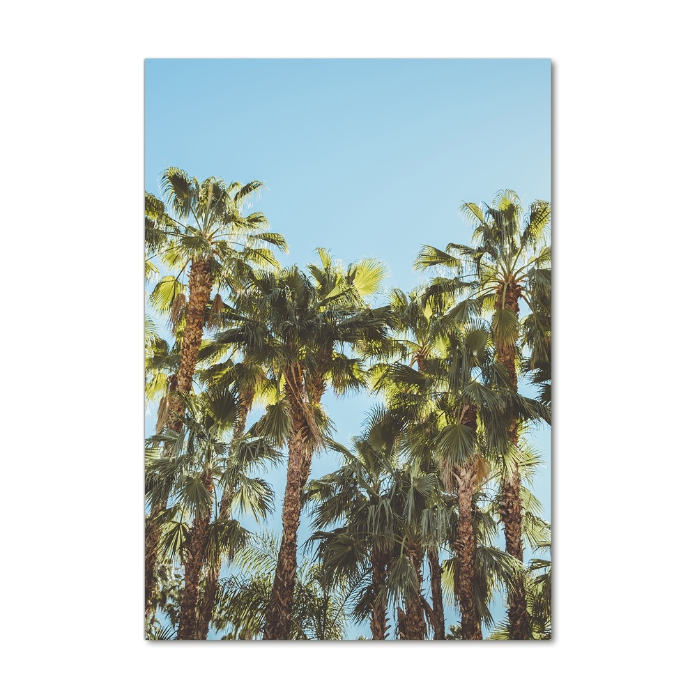 Print on acrylic Palm trees