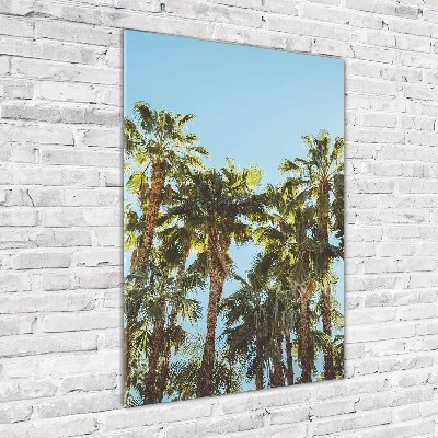 Print on acrylic Palm trees