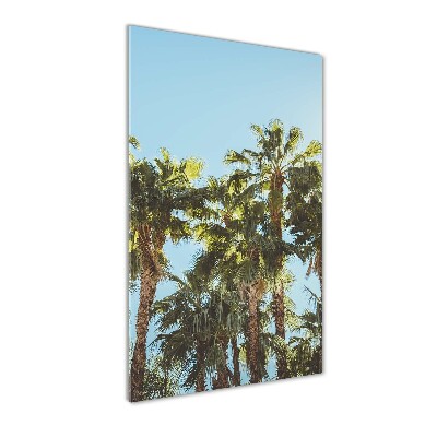 Print on acrylic Palm trees