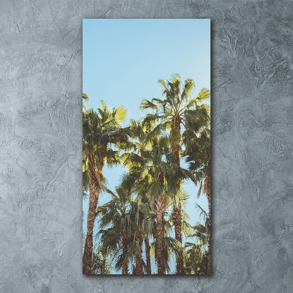 Print on acrylic Palm trees