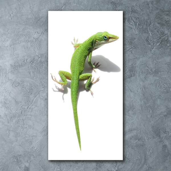 Print on acrylic Green lizard