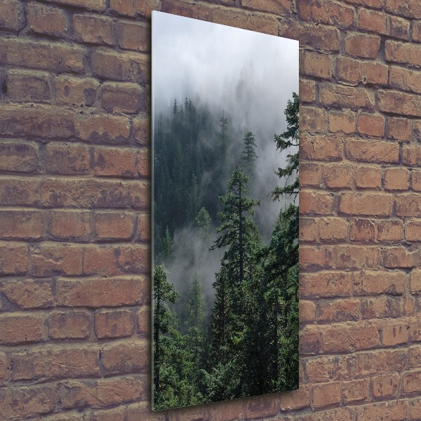 Print on acrylic Fog over the forest