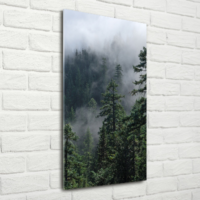 Print on acrylic Fog over the forest