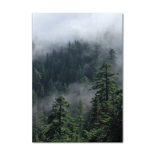 Print on acrylic Fog over the forest