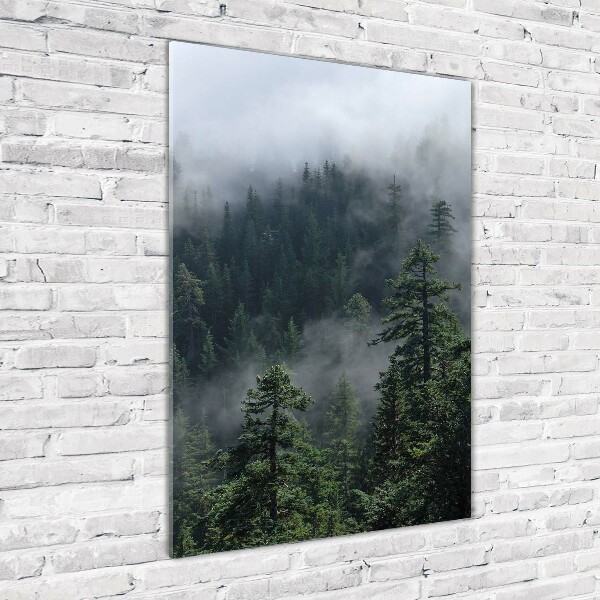 Print on acrylic Fog over the forest