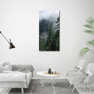 Print on acrylic Fog over the forest