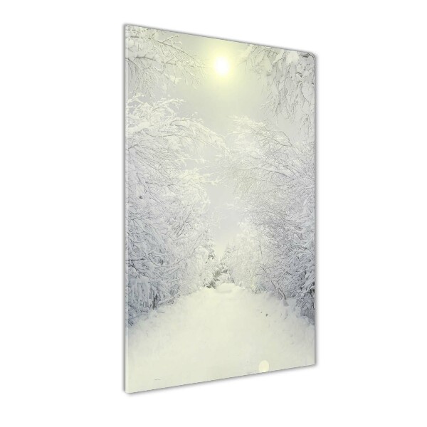 Acrylic wall art Forest in winter