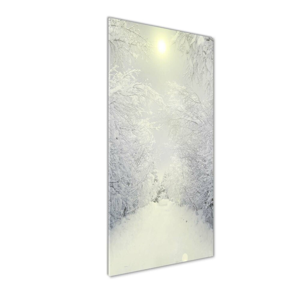 Acrylic wall art Forest in winter