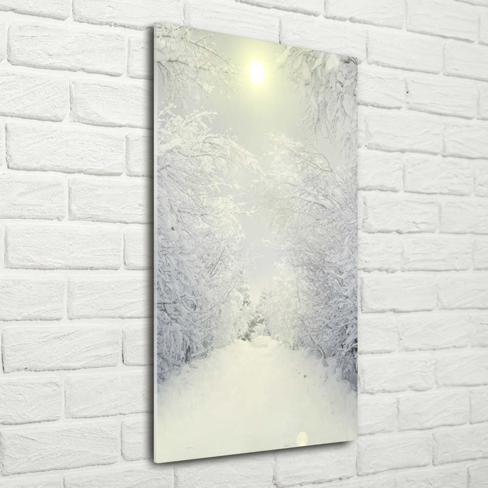 Acrylic wall art Forest in winter