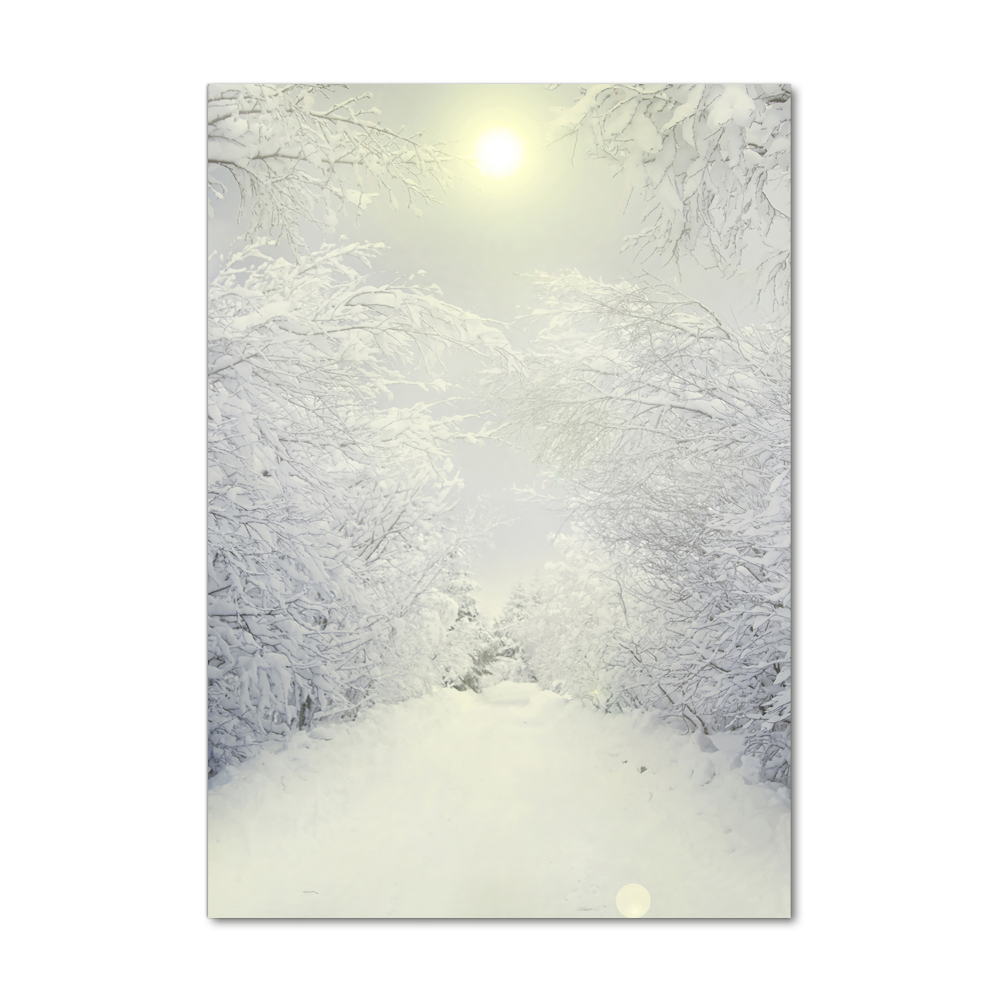 Acrylic wall art Forest in winter