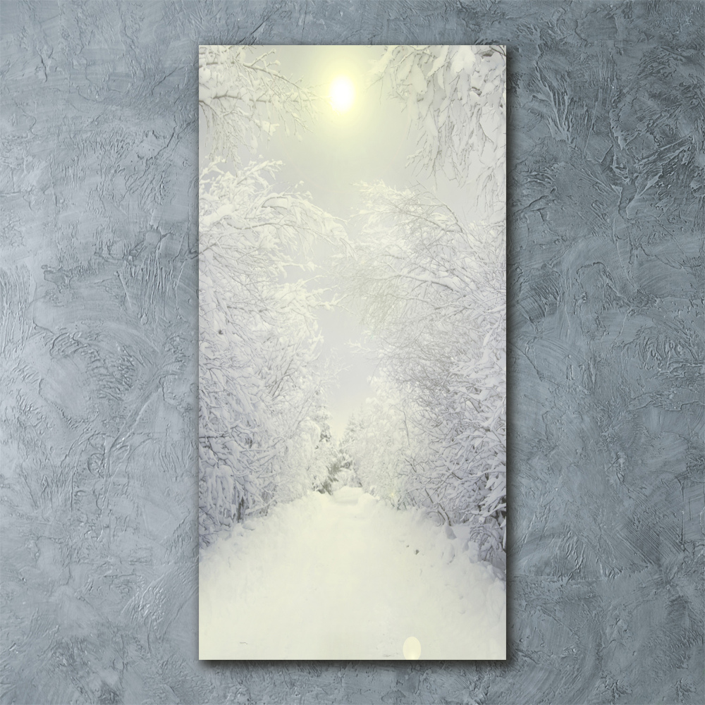 Acrylic wall art Forest in winter