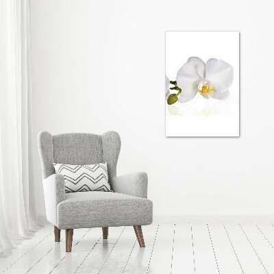 Print on acrylic glass White orchid