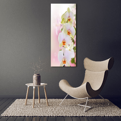 Acrylic print White orchid