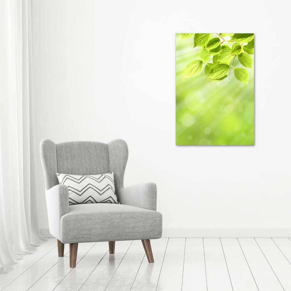 Print on acrylic Green leaves