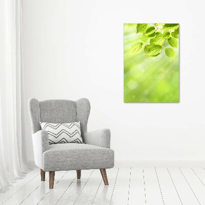 Print on acrylic Green leaves