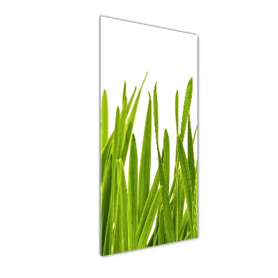 Print on acrylic green grass