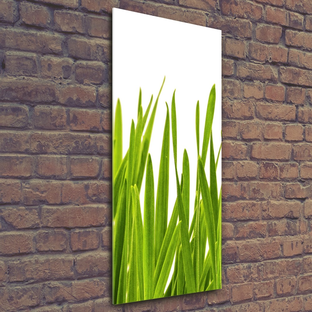 Print on acrylic green grass