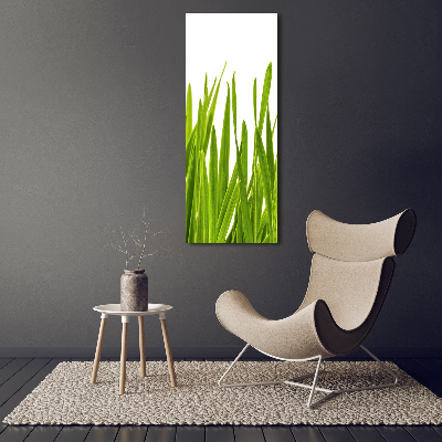 Print on acrylic green grass