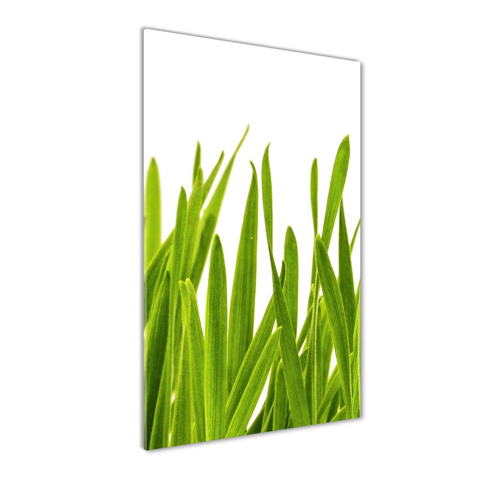 Print on acrylic green grass