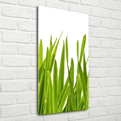 Print on acrylic green grass